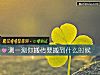 《測一測你搬磚要搬到什麼時候》测试