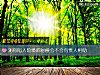 《測你陷入險境的時候會不會有<i>貴人</i>相助》测试