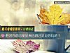 《他對你的示愛是真心的還是逗你玩的？》测试