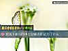 《測試下班後<i>同事</i>主動聯系你是爲了什麼》测试