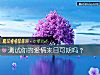 《測試你的<i>愛情</i>來日可期嗎？》测试