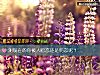 《測現在的你被人<i>暗戀</i>還是明戀呢？》测试