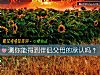 《測你能得到<i>伴侶</i>父母的承認嗎？》测试