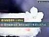 《最想躺哪張床 測你們婚後主要的<i>生活</i>方式》测试