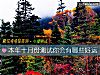 《本年十月份測試你會有哪些<i>好運</i>》测试