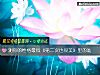 《測你的<i>性格</i>最似《第二次也很美》裏的誰》测试