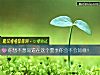 《你想不想知道在這個夏季你會不會<i>如意</i>！》测试