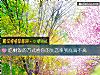 《吃剩飯的方式看你的<i>失戀</i>率到底高不高》测试