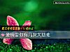 《<i>愛情</i>裏你有幾次大劫難》测试