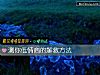 《測你低<i>情商</i>的解救方法》测试