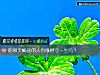 《你和天蠍座的人有緣相守<i>一生</i>嗎？》测试