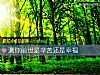 《測你前世是辛苦還是<i>幸福</i>》测试