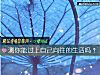《測你能過上自己向往的<i>生活</i>嗎？》测试