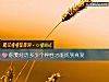 《你要經曆多少個<i>異性</i>才能找到真愛》测试