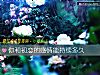 《你和<i>初戀</i>的感情能持續多久》测试