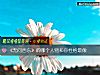 《《無問西東》的<i>哪個</i>人物和你性格最像》测试