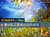 《測你真正困難時能指望誰》测试