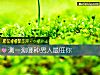 《測一測哪種<i>男人</i>最旺你》测试