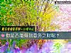 《你是否能得到<i>意外</i>之財呢？》测试