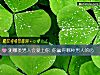 《測哪類<i>男人</i>會愛上你 你贏得哪種<i>男人</i>的心》测试