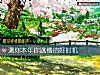 《測你本年你跳槽的好時機》测试