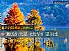 《測試你會是《芳華》裏的誰》测试