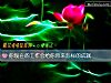 《你現在的工作會給你帶來怎樣的成就》测试