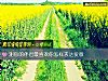 《測你的<i>伴侶</i>最喜歡你怎樣表達愛意》测试