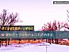 《測你在<i>生活</i>中爲什麼只有酒肉朋友》测试
