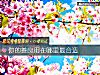 《你的<i>善良</i>用在哪裏最合適》测试
