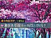 《測你本年雙十一有錢掃貨嗎？》测试