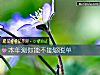 《本年測你能不能夠<i>脫單</i>》测试