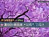 《測你的<i>善良</i>度“及格”了嗎？》测试
