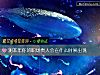 《測本年你的職場貴人會在什麼時候出現》测试