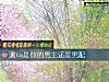 《測ta是你的男主還是男配》测试