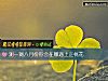 《測一測八月份你會在哪遇上正<i>桃花</i>》测试