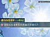 《測你<i>女友</i>能和你共患難共享福嗎？》测试