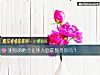 《測你的他會在外人面前數落你嗎？》测试