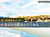 《本年你的事業會不會觸礁》测试