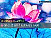 《測試<i>失戀</i>後你會更成熟還是更幼稚》测试