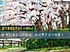 《想邁進成功的路途，你還要走多少彎路？》测试