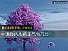 《測你<i>內心</i>的正氣有幾分》测试