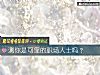 《測你是可靠的職場人士嗎？》测试