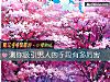 《測你吸引<i>男人</i>的手段有多厲害》测试