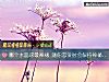 《<i>哪個</i>水晶球最神秘 測你戀愛時會保持神秘嗎？》测试