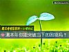 《測本年你能突破當下的<i>困境</i>嗎？》测试