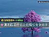 《測到底是什麼讓你輸給競爭對手》测试