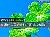 《測什麼事會讓你在職場中樹敵》测试