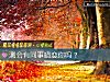 《測會有<i>同事</i>暗戀你嗎？》测试