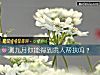 《測九月你能得到<i>貴人</i>幫扶嗎？》测试